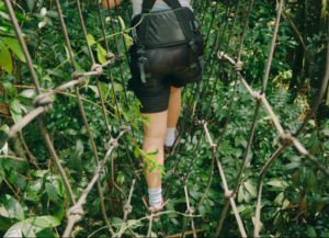 Blog Banner