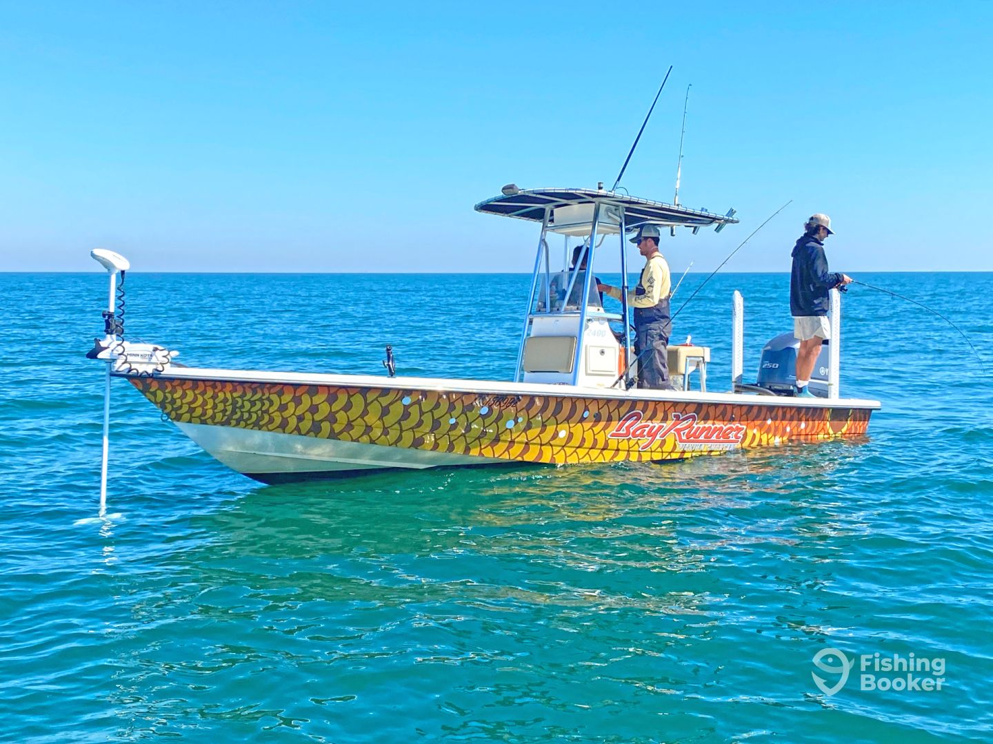 Sportfishing at Bayrunner Fishing Charters