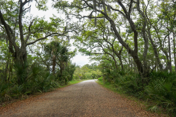 Nature Trails & Wildlife on Hilton Head Island