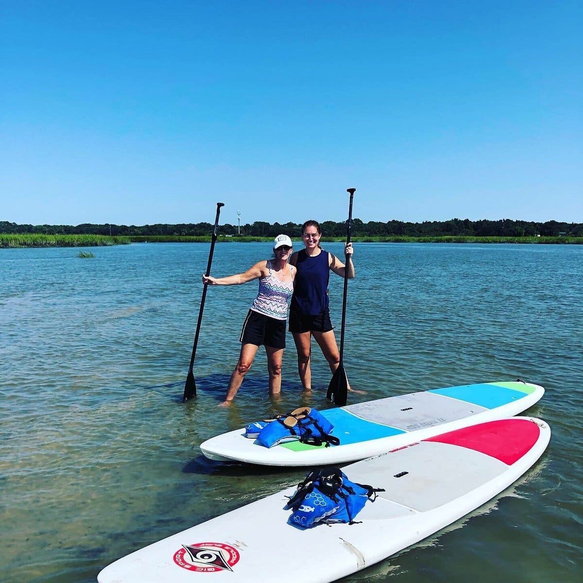 Salt Marsh Paddleboard Exploration