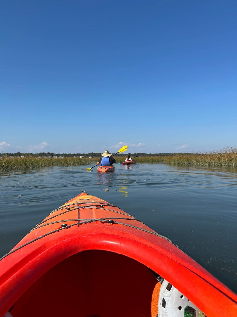 Kayak Eco-Tour of Broad Creek